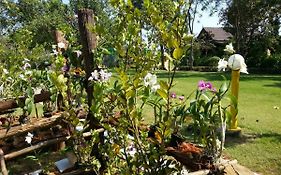 บานาน่า รีสอร์ท แอนด์ สปา